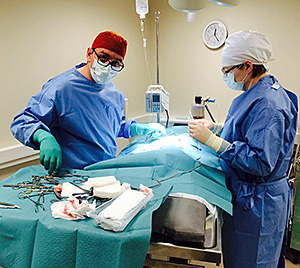 Männimäe loomakliiniku esimene avatud rinnaõõne operatsioon