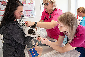 Viljandi Männimäe Loomakliinik - vaktsineerimine